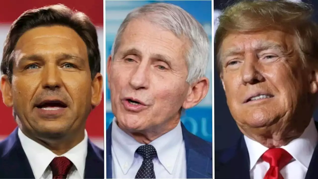 DeSantis torches Trump over COVID lockdowns: 'He turned the country over to Fauci'