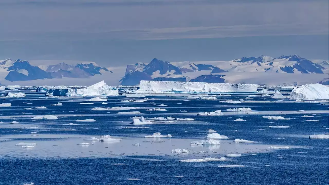 Réchauffement climatique : les courants océaniques profonds en Antarctique ralentissent plus tôt que prévu, selon une étude