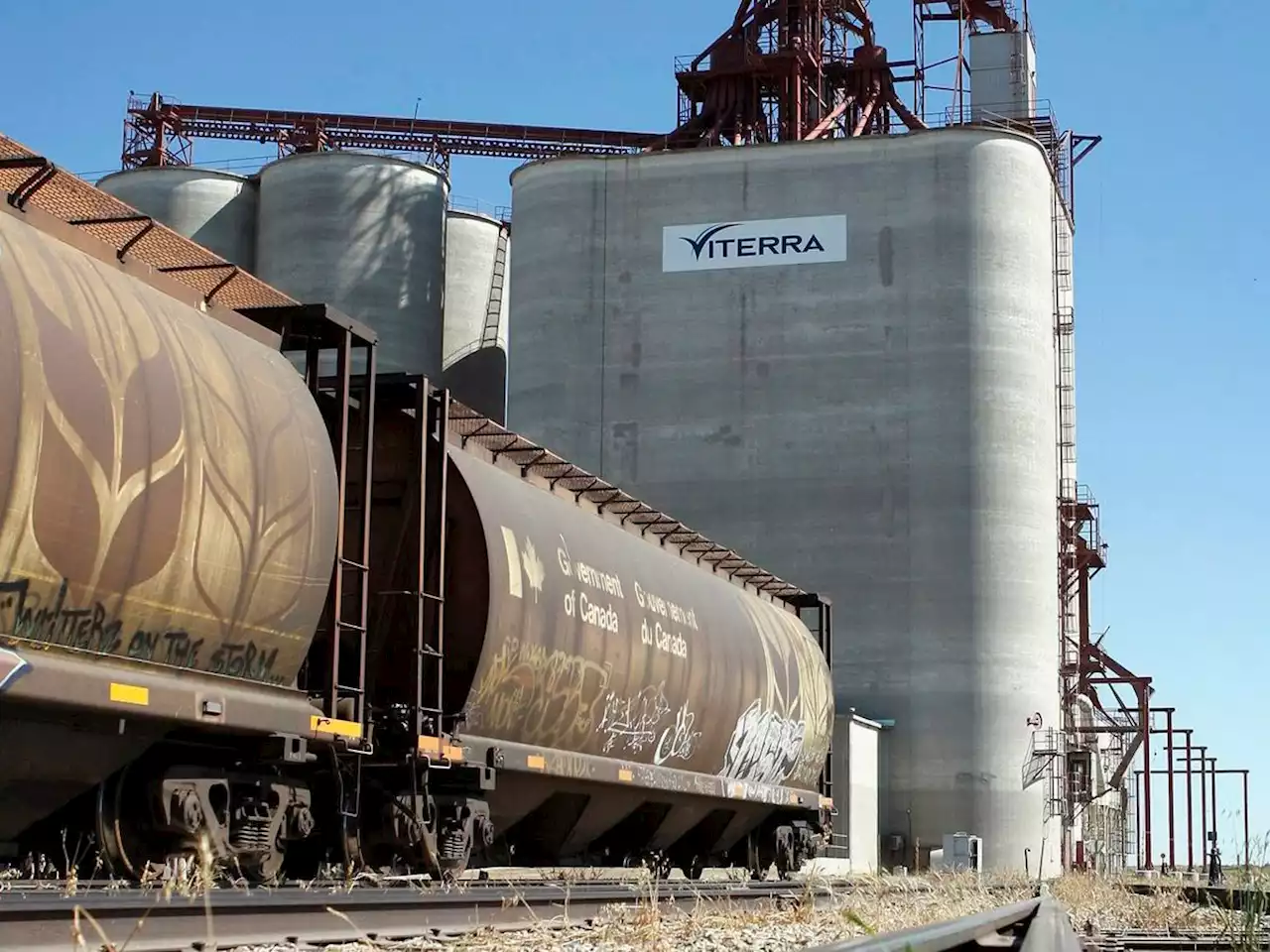 Glencore in talks to merge Canadian grain giant Viterra with U.S. rival Bunge: source