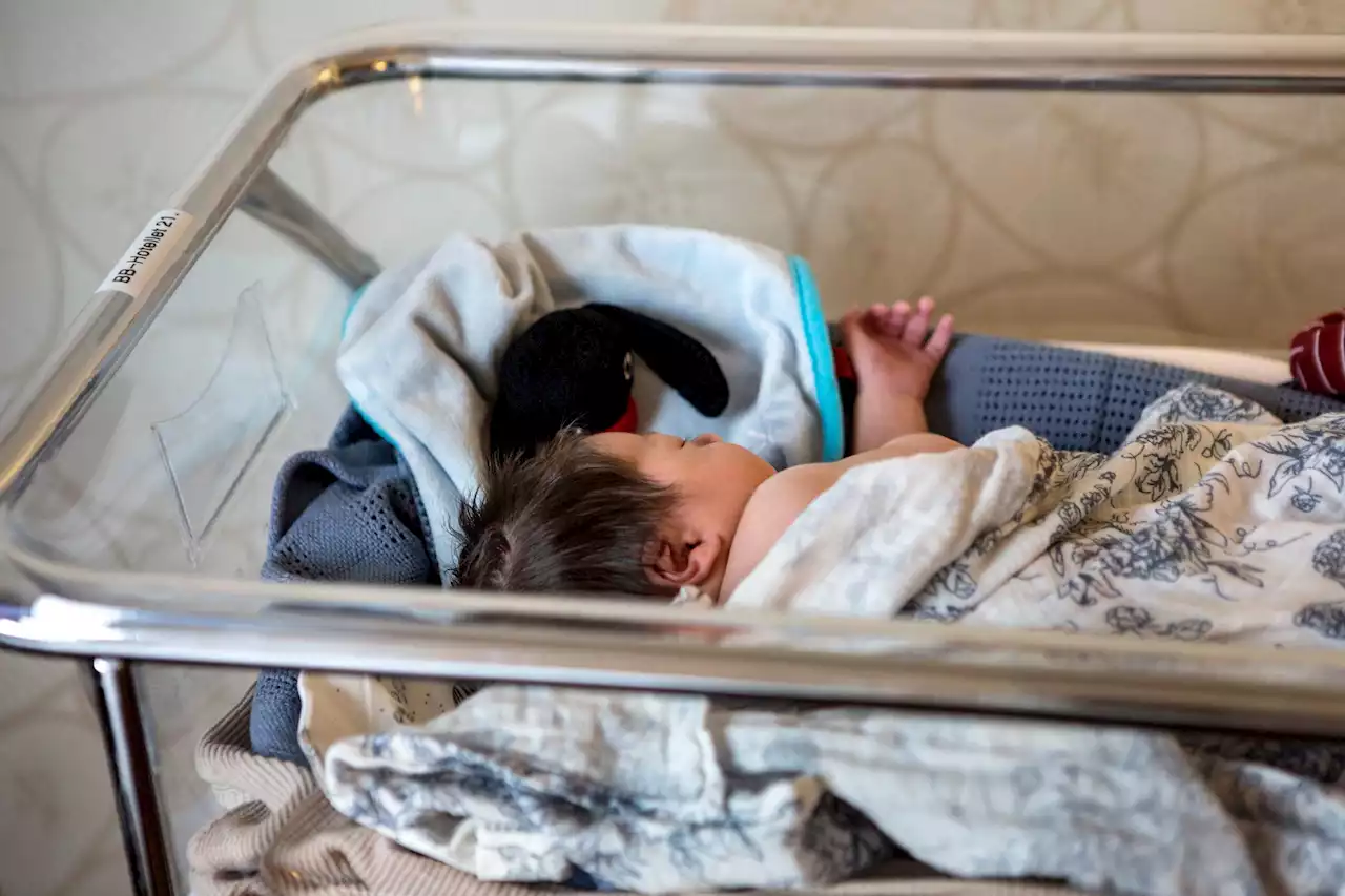 Första födseln från transplanterad livmoder