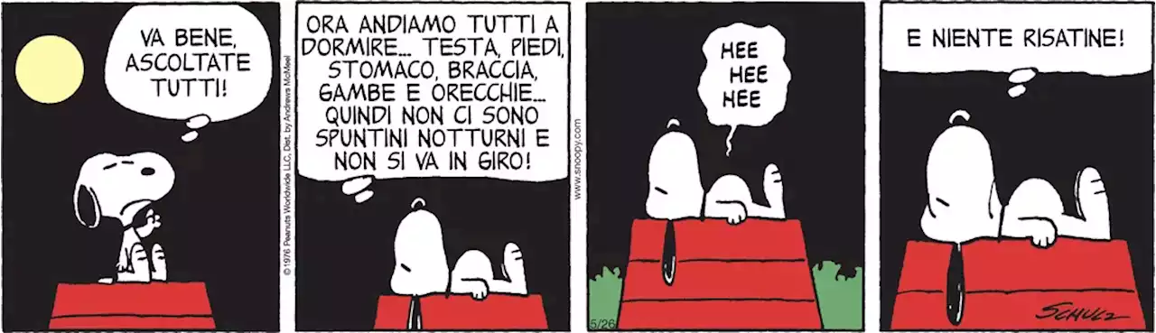 Peanuts 2023 maggio 26 - Il Post