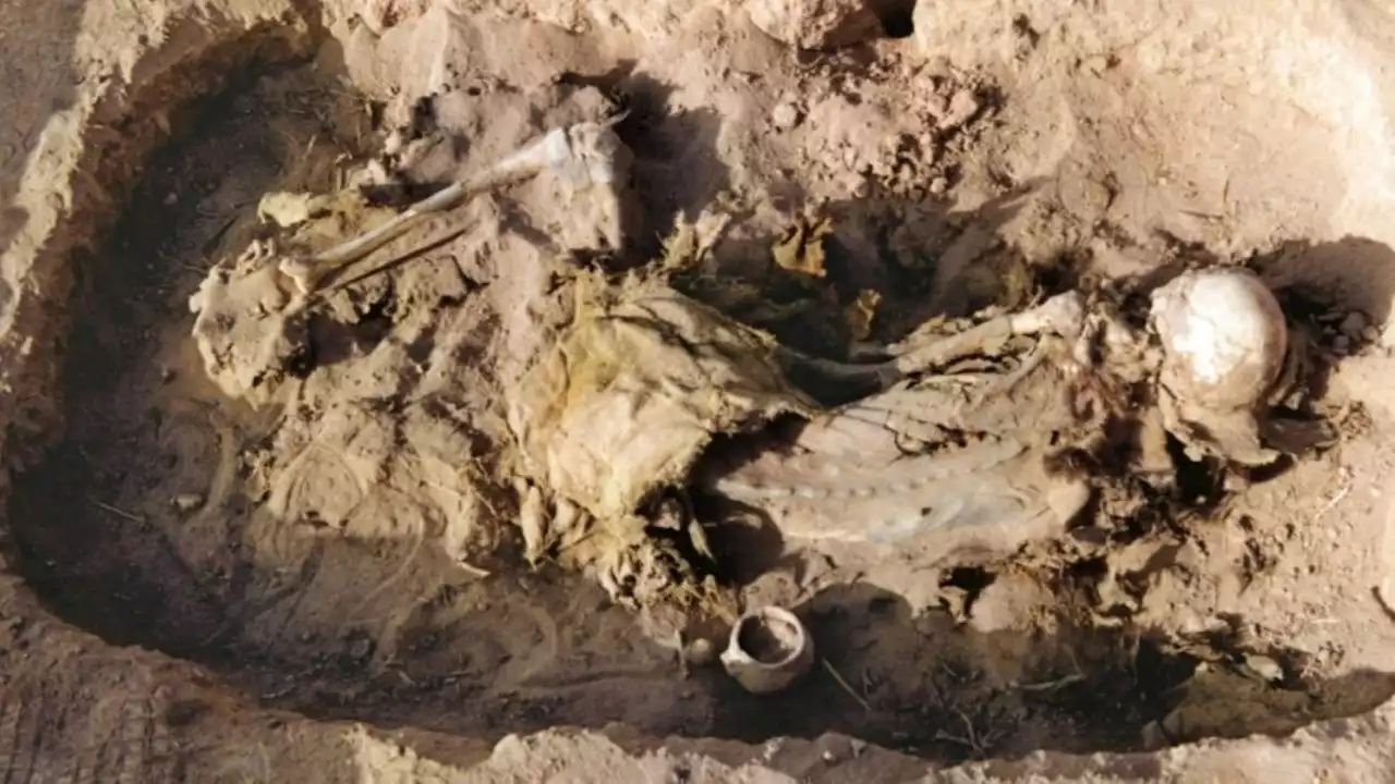 Extraordinary discovery: 2,700-year-old horse saddle found in Chinese tomb