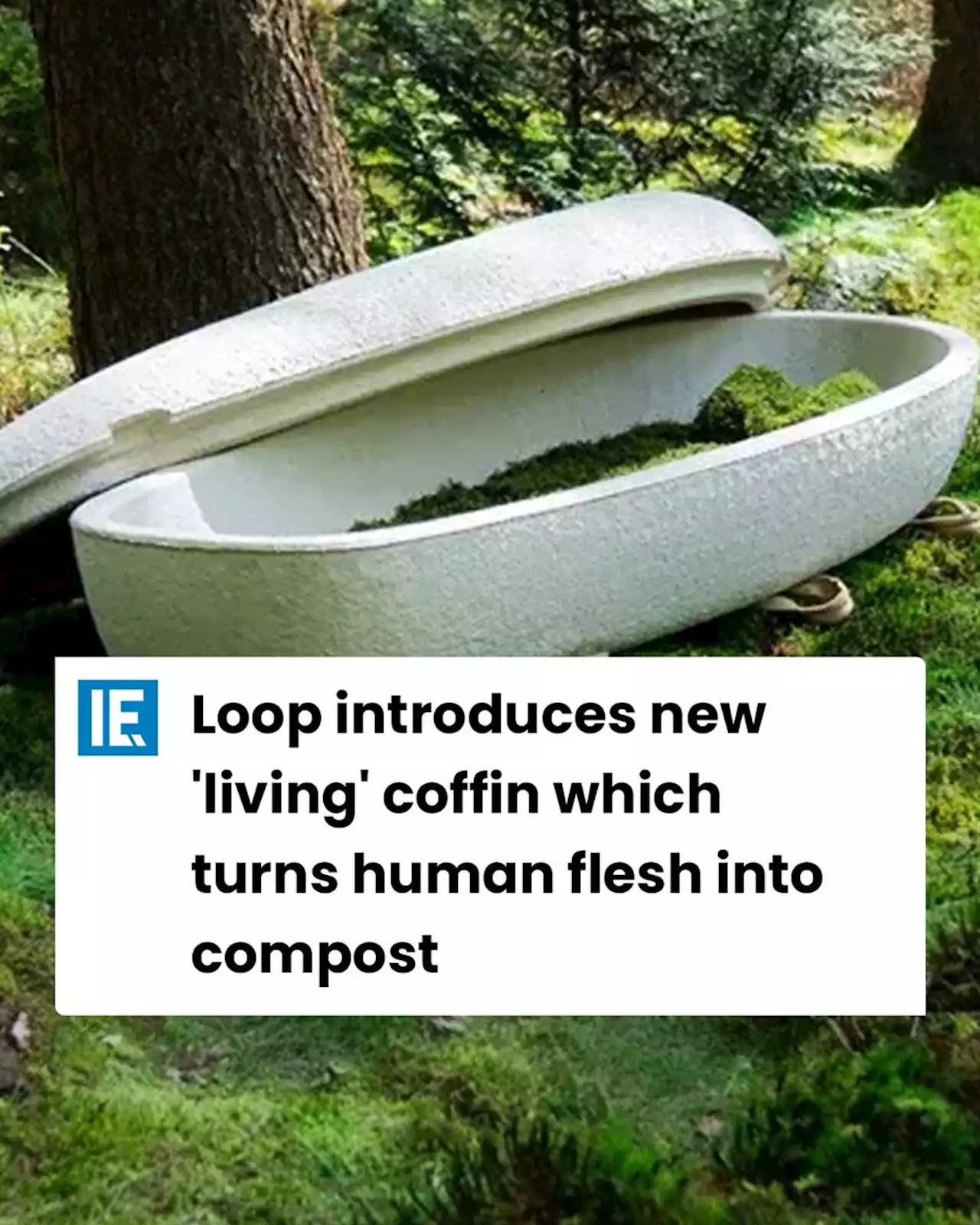 Loop introduces new 'living' coffin which turns human flesh into compost