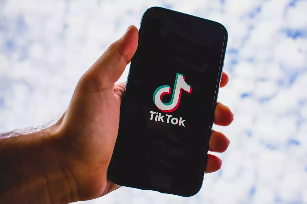 TikTok présente Tako, un rival de ChatGPT