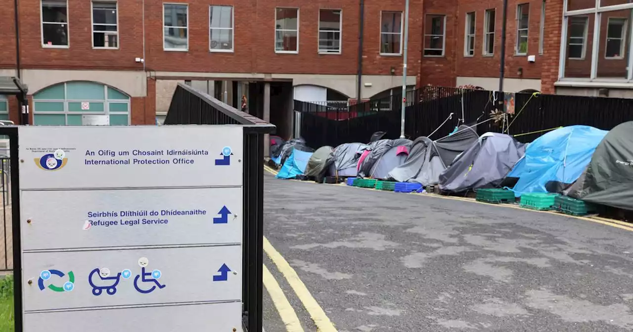 Council of Europe commissioner raises concerns over homelessness among asylum seekers in Ireland