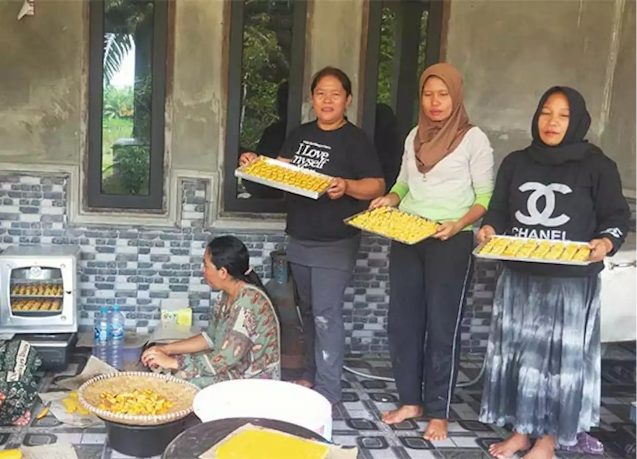 Dinkes Lamandau Akan Gelar Bimtek Keamanan Pangan