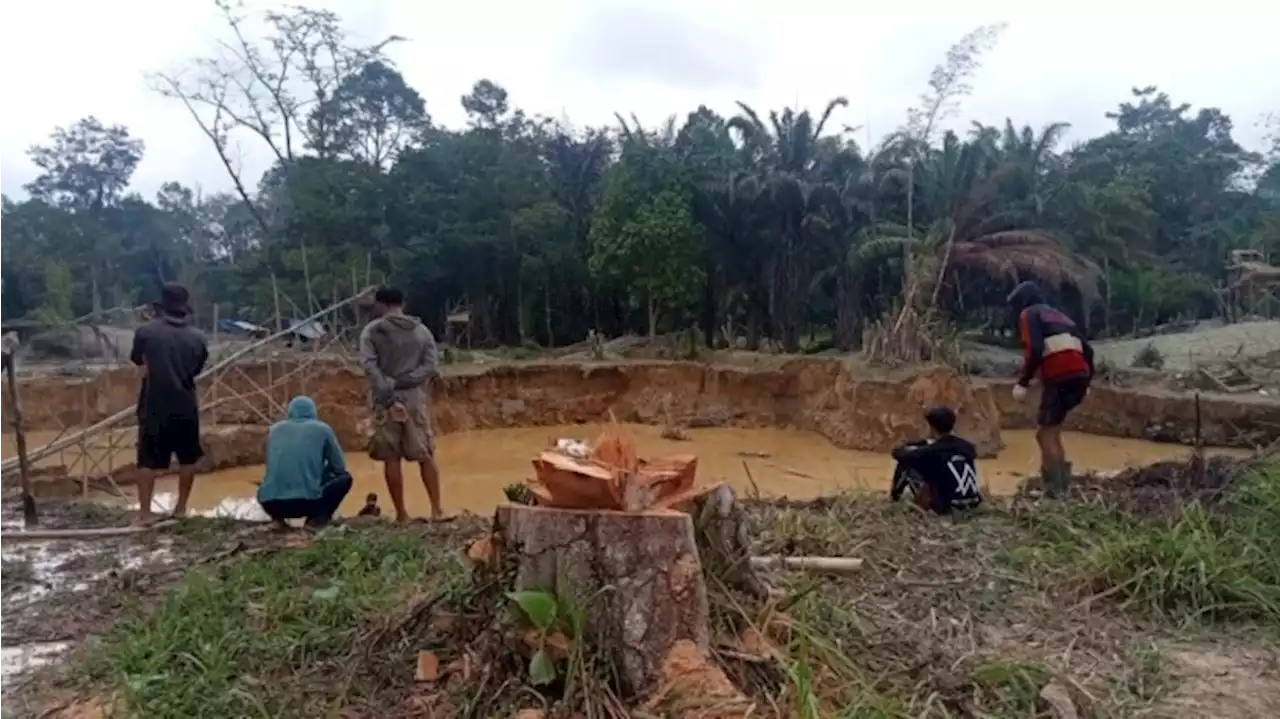 Lahan Persawahan dijadikan PETI