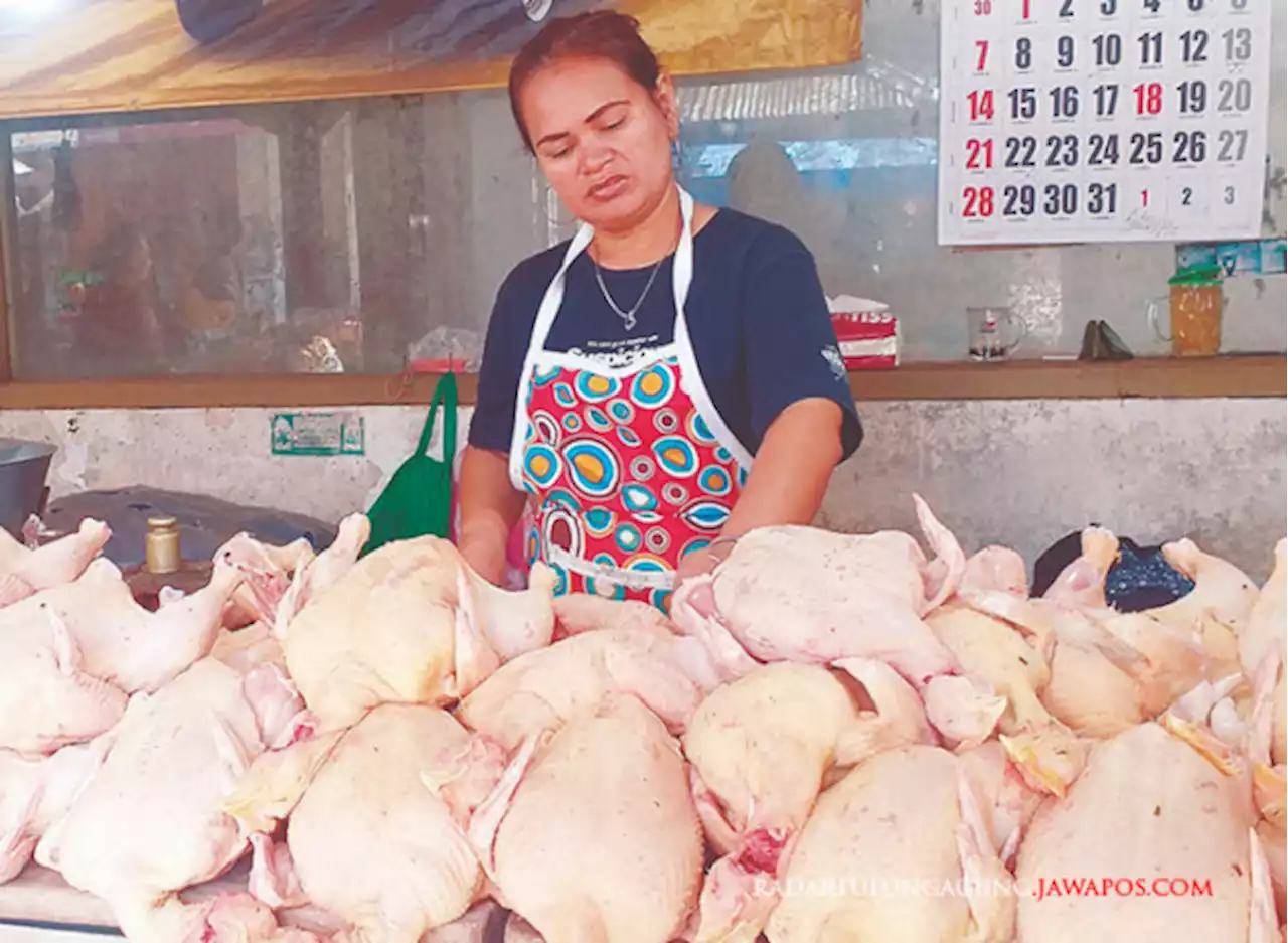 Pasokan Minim, Harga Daging Ayam di Blitar Merangkak Naik