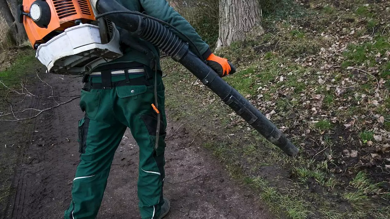 Seattle Mayor Bruce Harrell orders city to phase out gas-powered leaf blowers