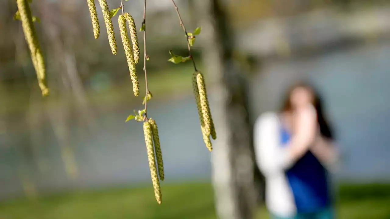 Jeder sechste Österreicher hat eine Allergie