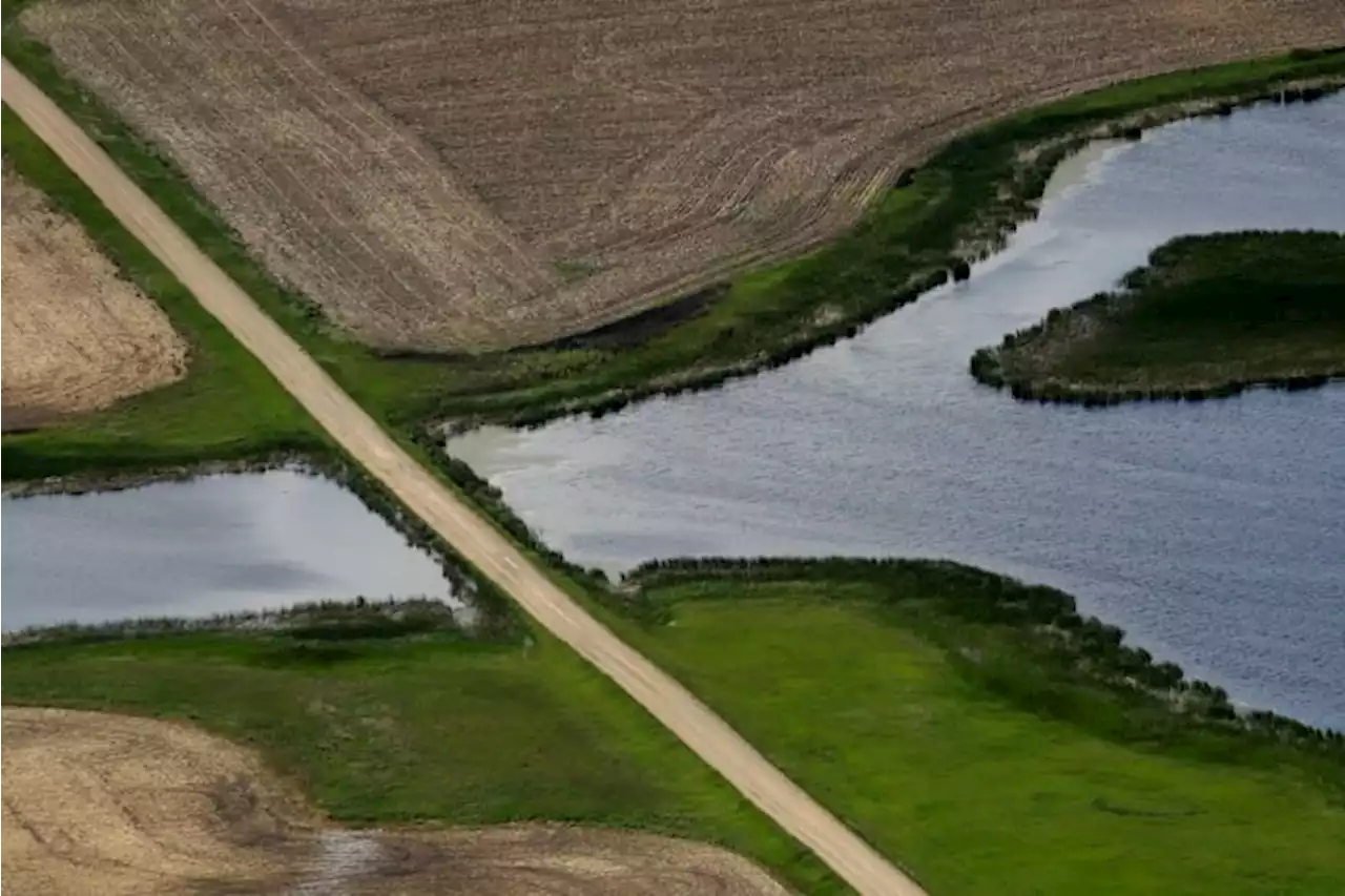 Supreme Court limits regulation of some US wetlands, making it easier to develop and destroy them