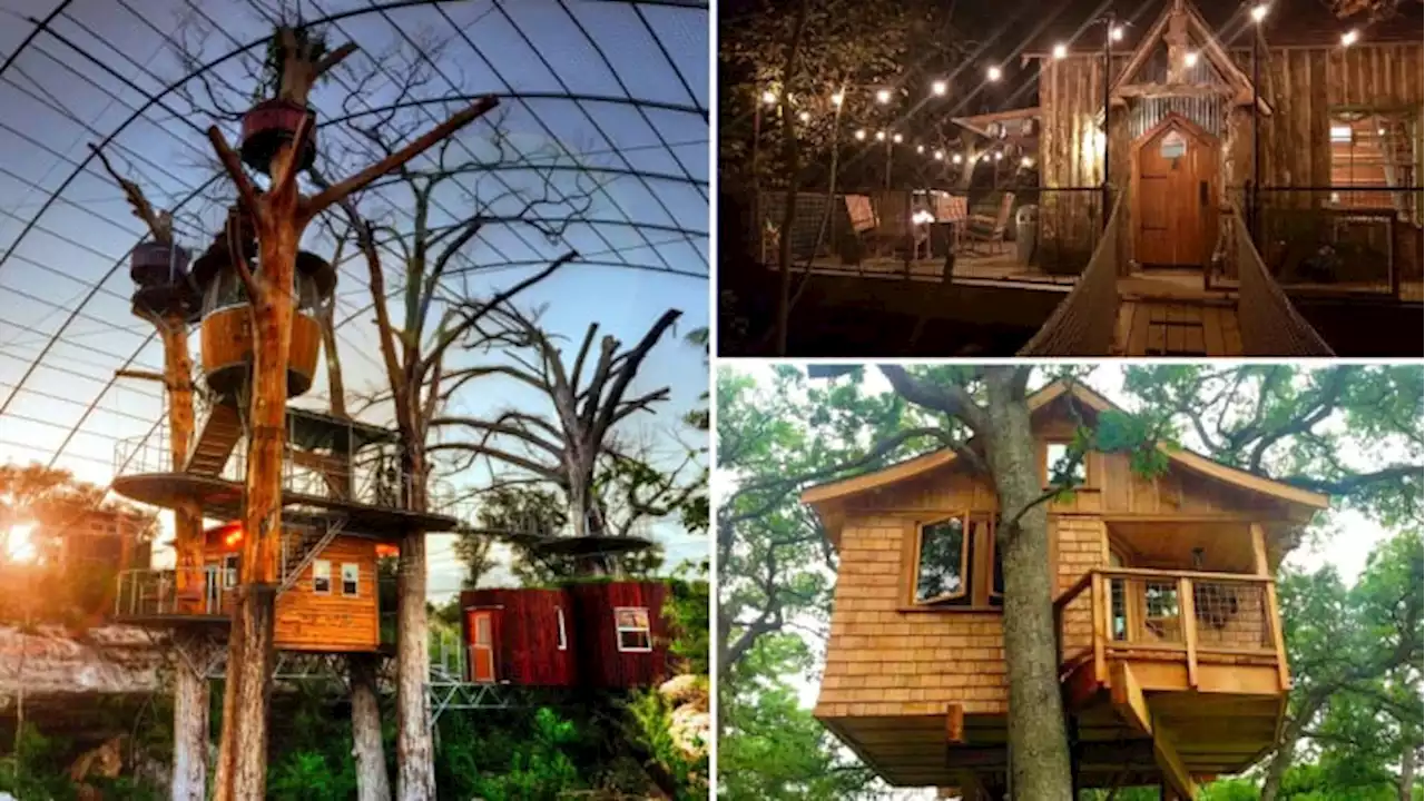 Texas treehouses you can rent in 2023