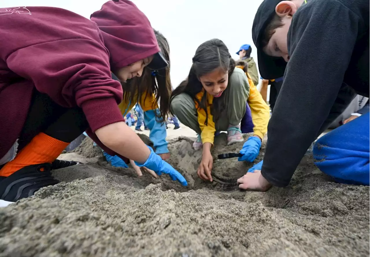 Thousands of kids help with clean-up at Dockweiler State Beach