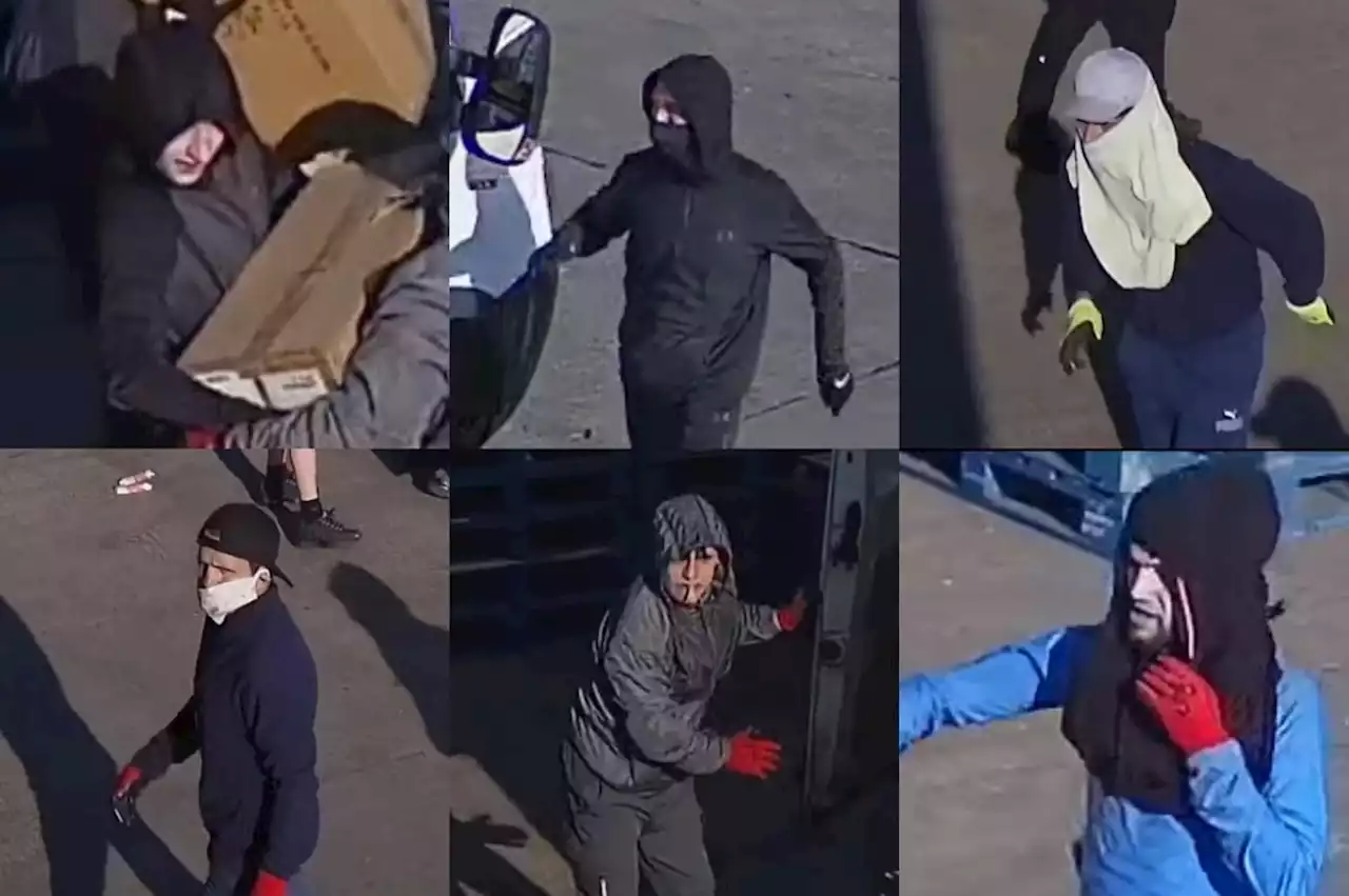 CCTV appeal launched after £90k worth of e-cigarettes and vapes stolen by gang