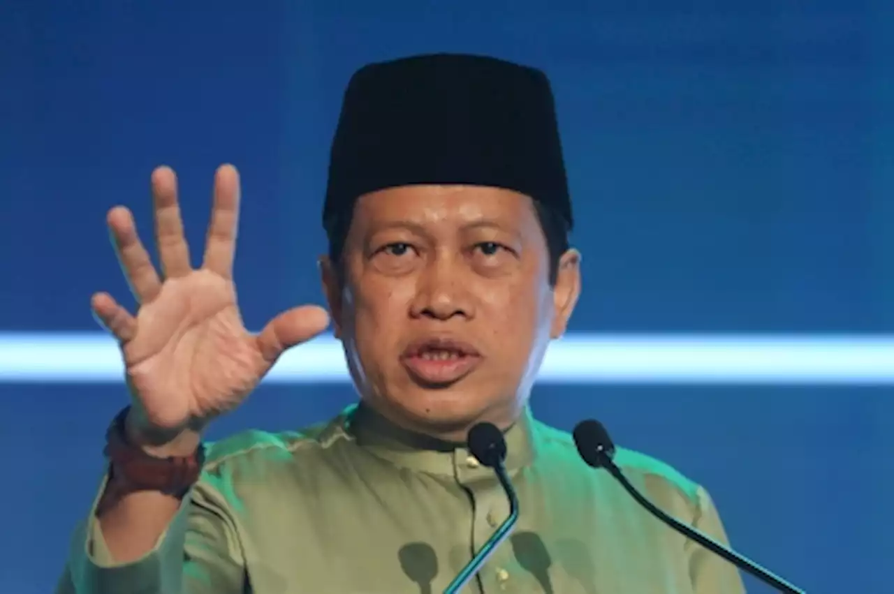 State polls: No Umno, DAP logo on ballot papers, says Ahmad Maslan