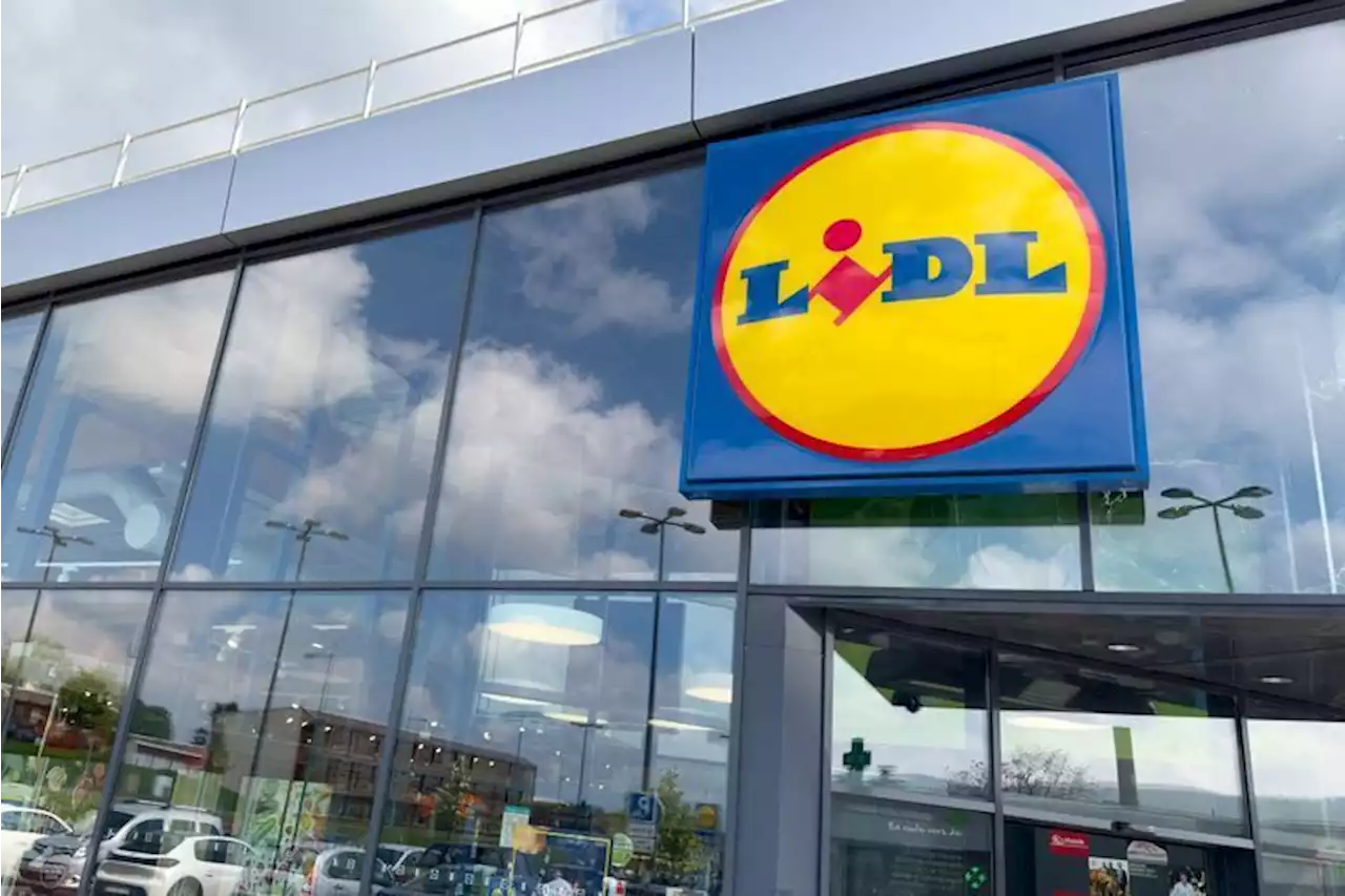 Produits venus d'Asie, marketing : comment Lidl se lance dans l'e-commerce... sans toucher à son modèle