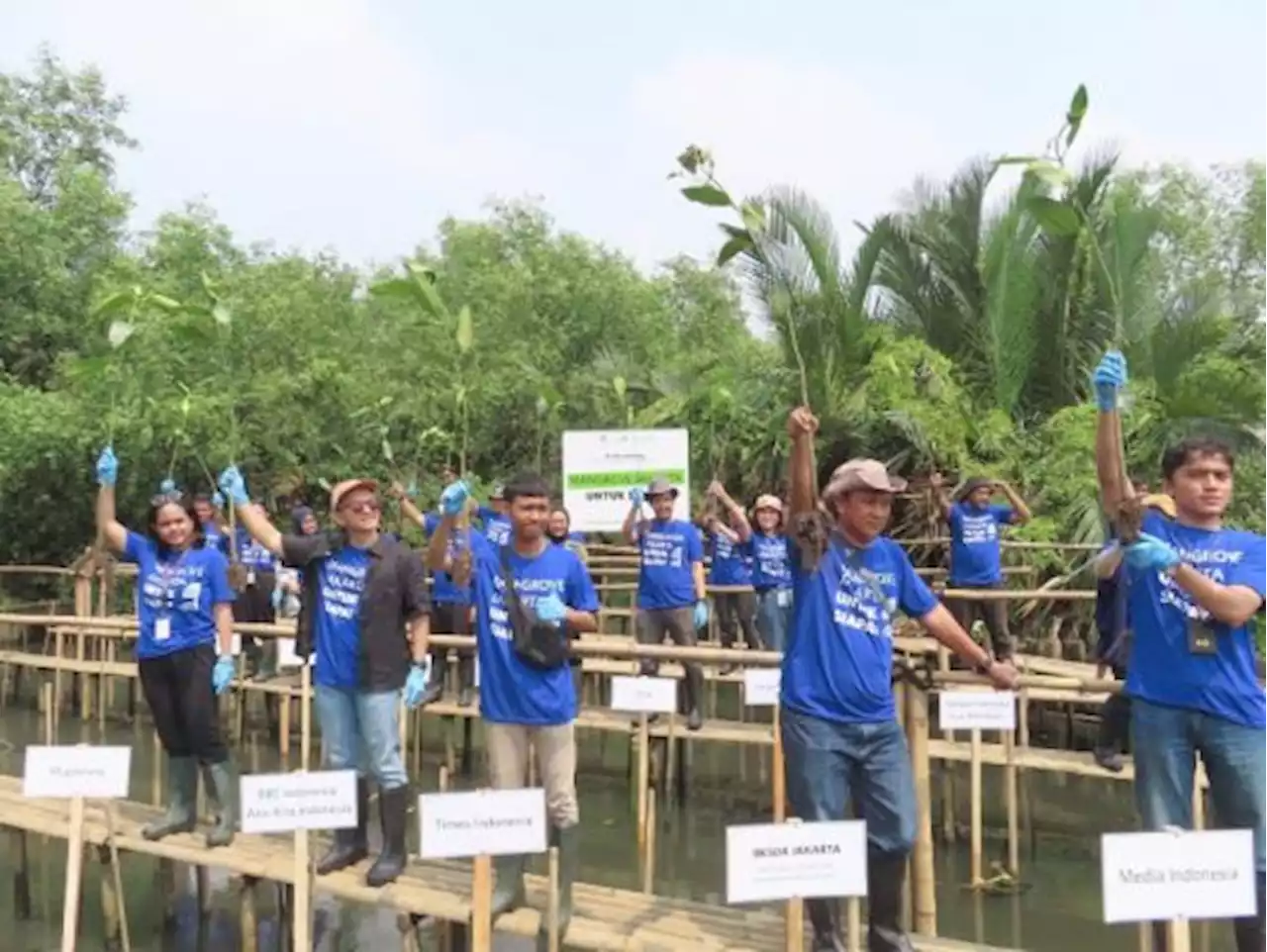 YKAN Ajak Awak Media Tanam Mangrove di Suaka Margasatwa