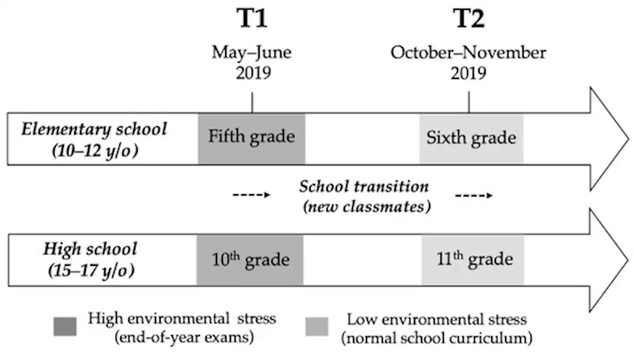 Anxiety in the Classroom: Only Girls&rsquo; Anxiety Is Related to Same-Sex Peers&rsquo; Anxiety