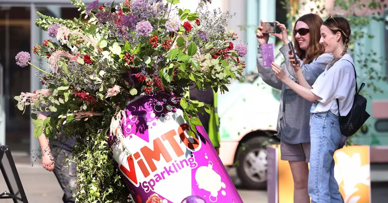 In pictures: Manchester Flower Festival back in bloom as sun shines down