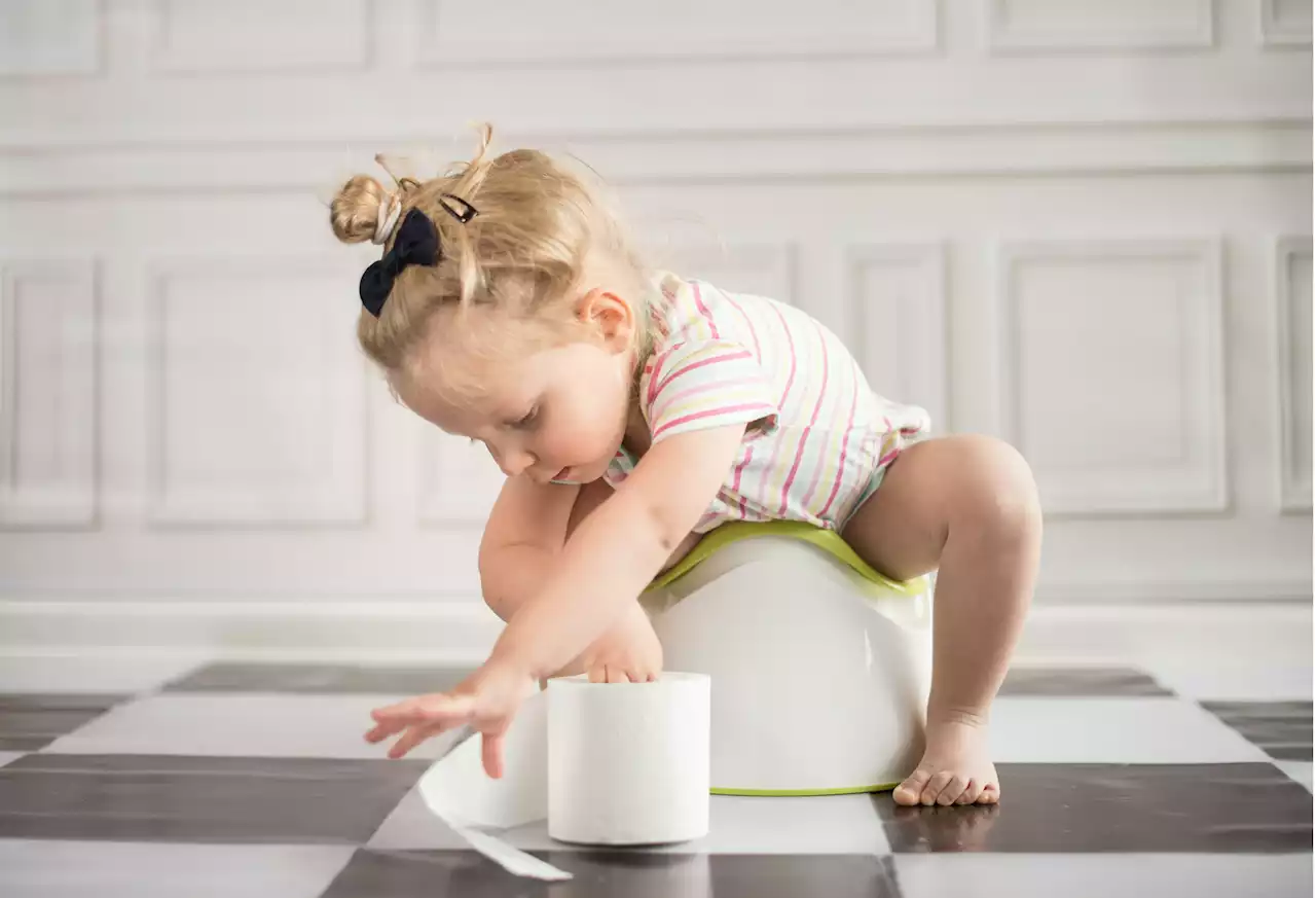 How to potty train your toddler in 3 days