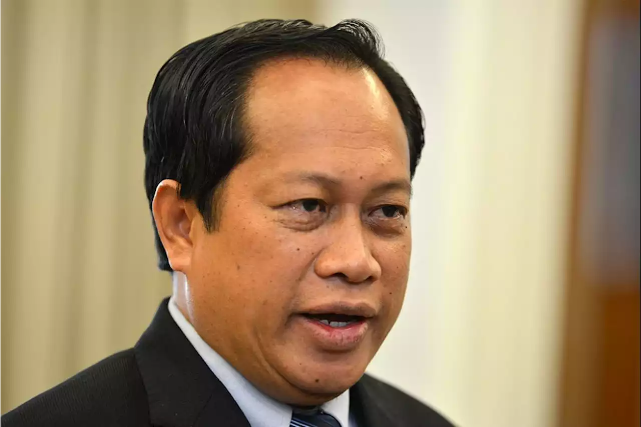 No Umno, DAP logo on ballot papers, says Ahmad Maslan | The Malaysian Insight