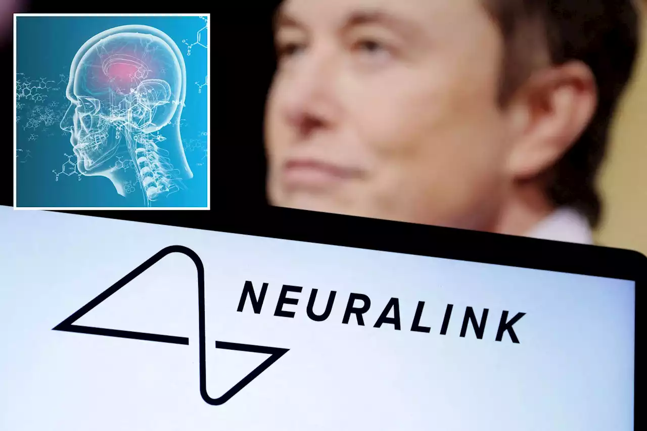 Elon Musk’s Neuralink gets FDA approval for human test of brain implants