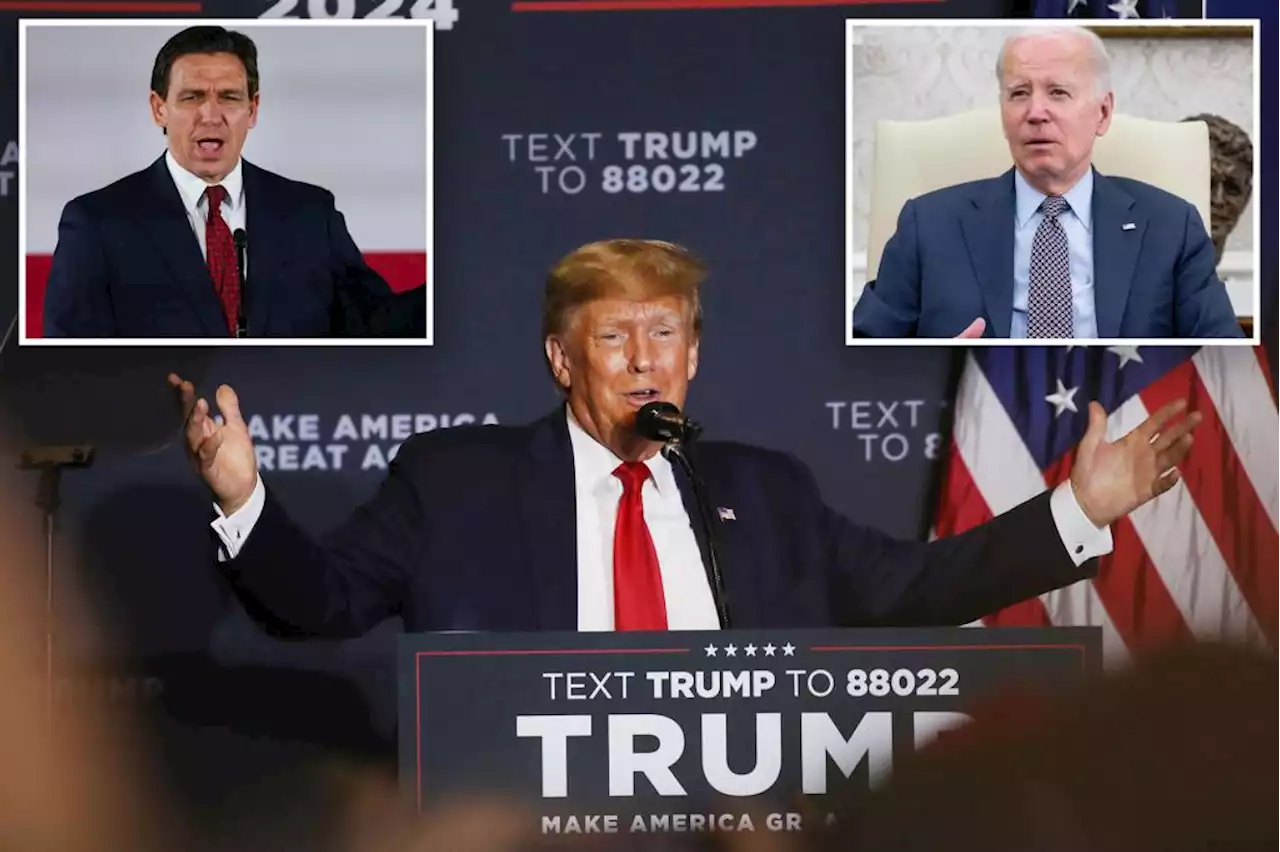 Trump dominates GOP primary, loses to Biden in 2024 election: poll