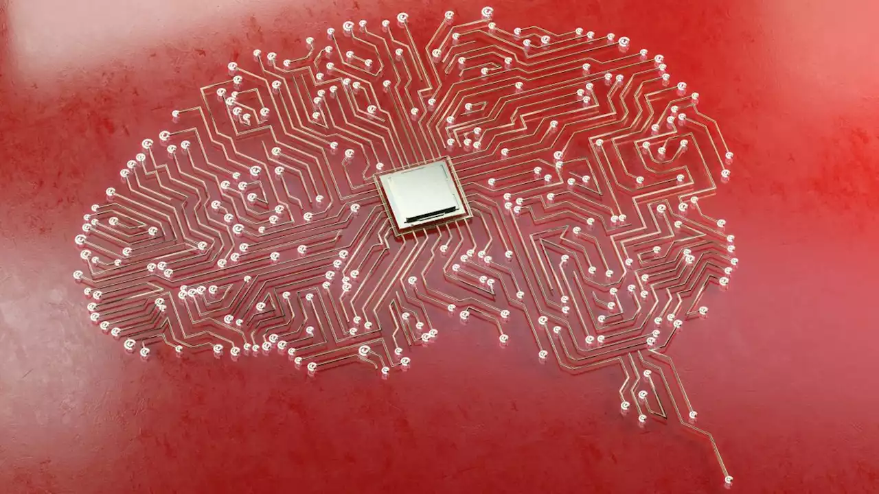 Oh good: Elon Musk's Neuralink gets FDA approval to put microchips in human brains