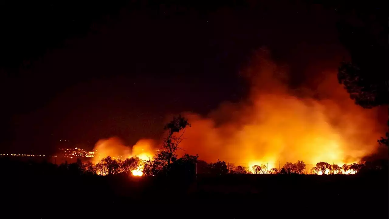 A causa de incendios constantes, Jalisco pierde más de 100 mil hectáreas de bosques en solo cinco meses