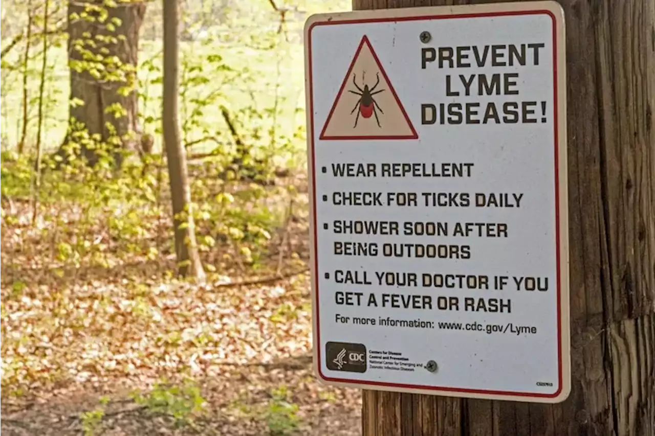 What you need to know about ticks and Lyme disease