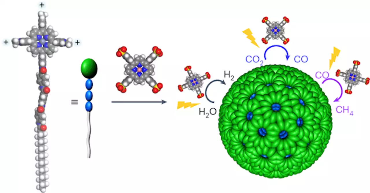 Artificial spherical chromatophore nanomicelles for selective CO2 reduction in water - Nature Catalysis