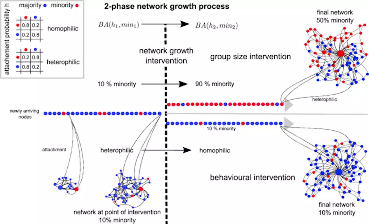 Improving the visibility of minorities through network growth interventions - Communications Physics