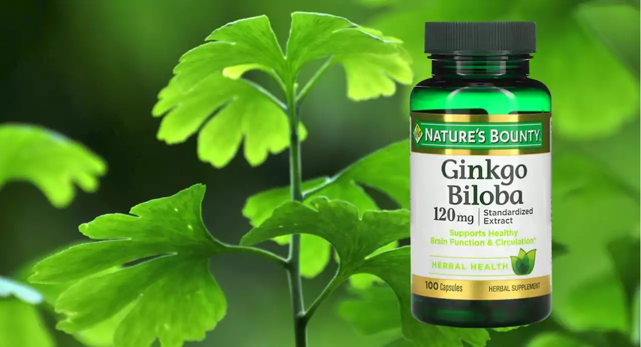 Qué es el ginkgo biloba, para qué sirve y cuáles son sus efectos secundarios - Pulzo