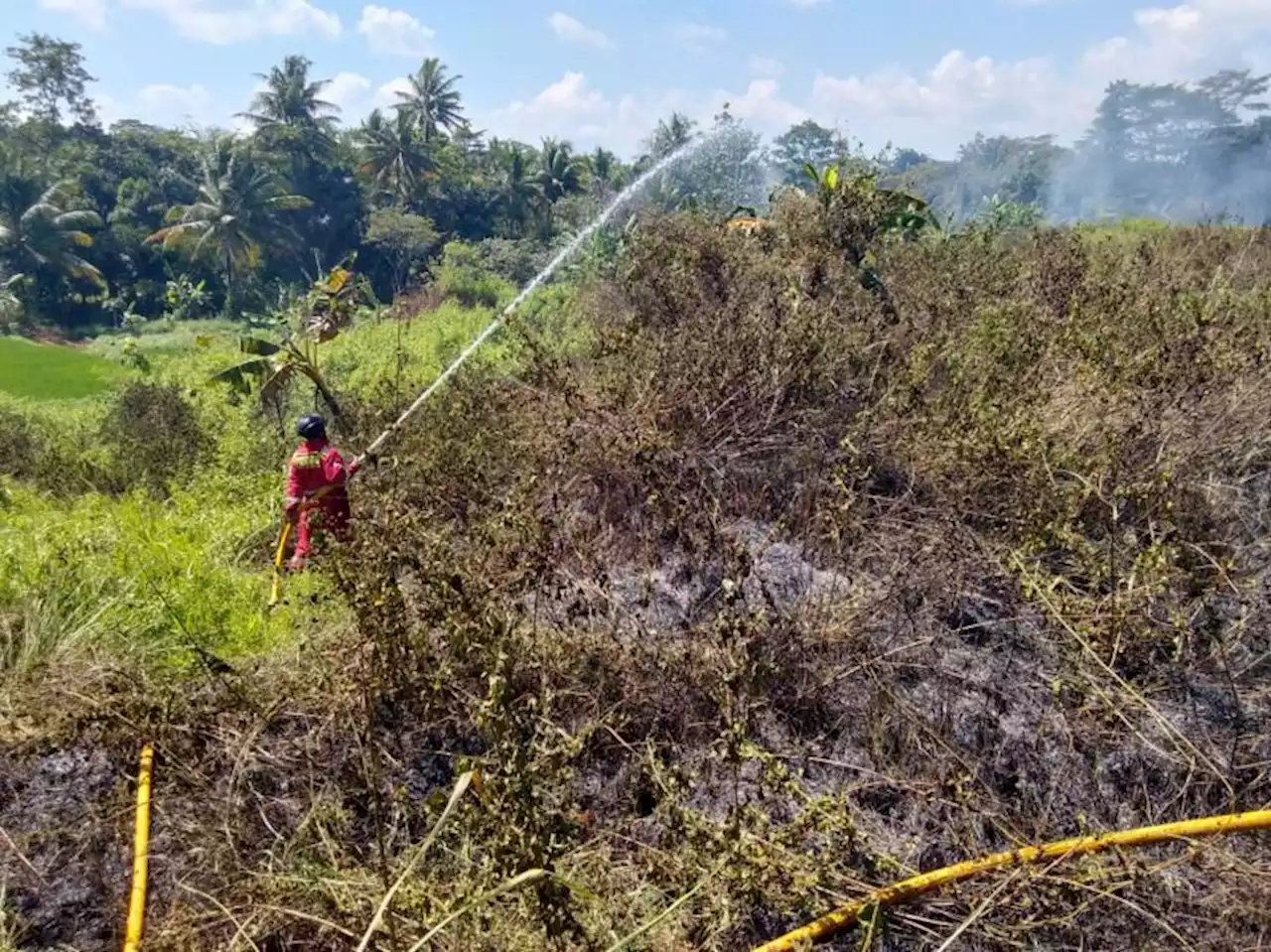 Kebakaran Lahan Mulai Landa Kuningan Dampak Kemarau |Republika Online