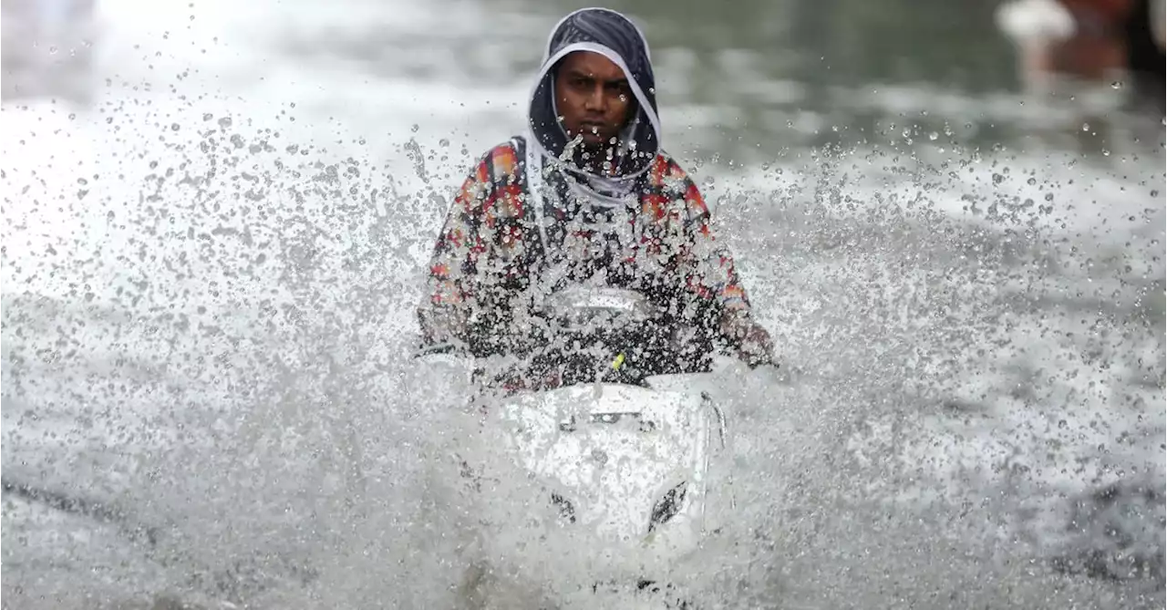 India likely to receive normal monsoon rains despite El Nino