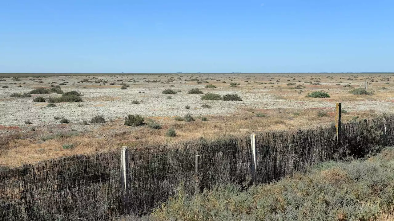 'Amenazado' el estatus de Patrimonio de la Humanidad de Doñana