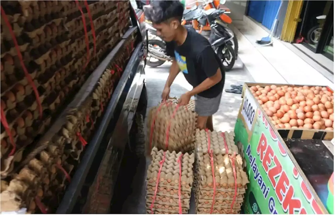 1,1 Juta Paket Bansos Telur dan Daging Tahap I Sudah Meluncur