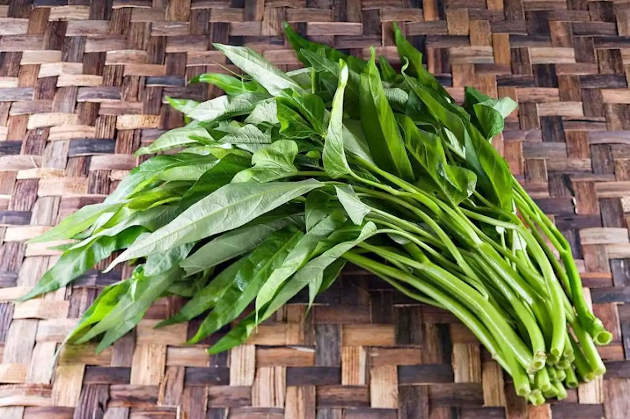 Studi: Makan Kangkung Bisa Cegah Diabetes, Gula Darah Terkontrol