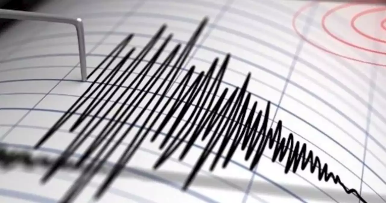 Un sismo de magnitud 6.1 sacude Tokio y el este de Japón; no se reportan víctimas