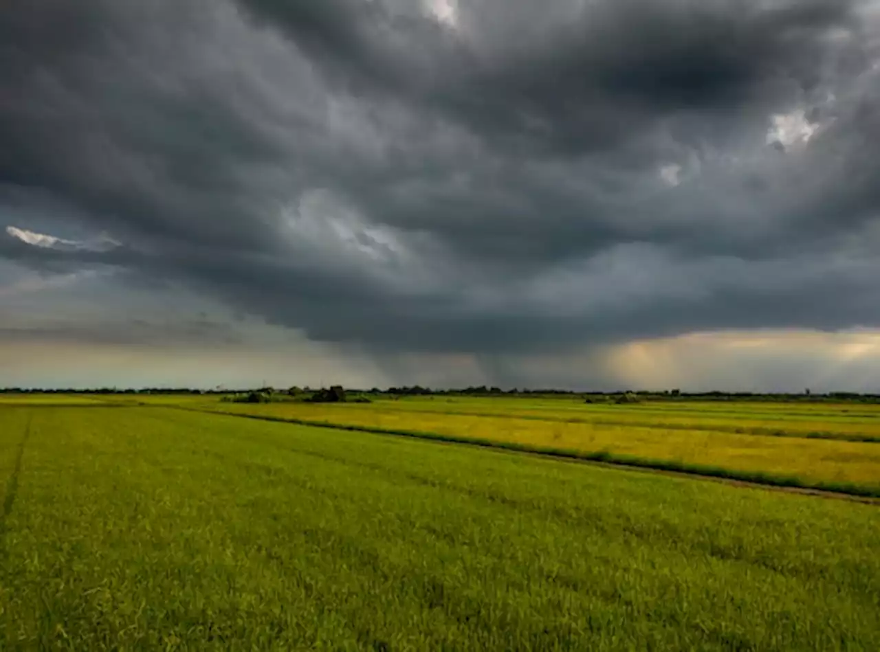 Meteo, weekend di sole con temporali pomeridiani