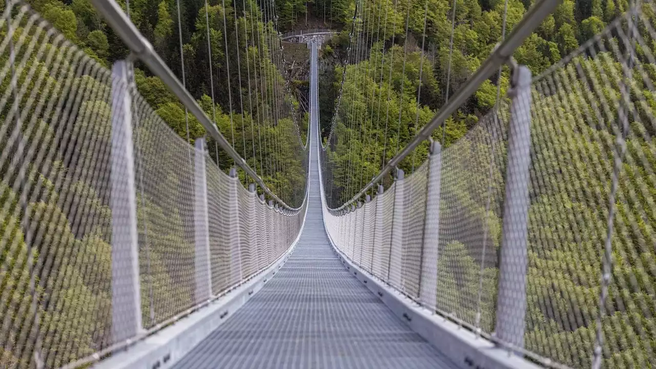 Brücke über dem Wasserfall: Blackforestline in Todtnau eröffnet