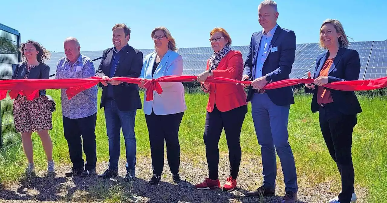 Größter Solarpark des Saarlandes: Marpingen ist jetzt Saarlandmeister