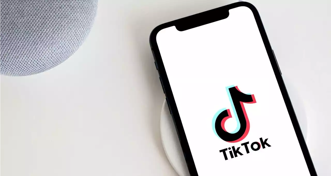 TikTok is testing an AI chatbot called Tako - TechCentral