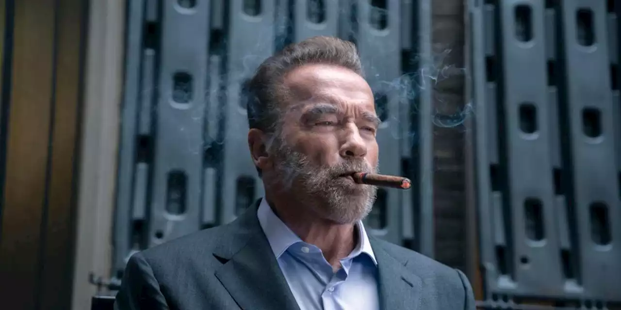 Fubar (Netflix) : la nouvelle série d'Arnold Schwarzenegger est un naufrage