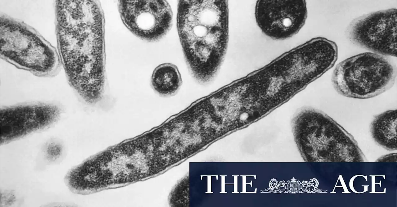 Legionnaires’ disease outbreak detected in Melbourne’s south-east