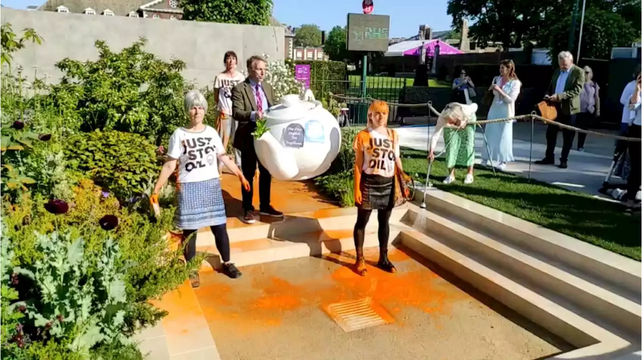 Just Stop Oil climate activist group explained and why it targeted Chelsea flower show