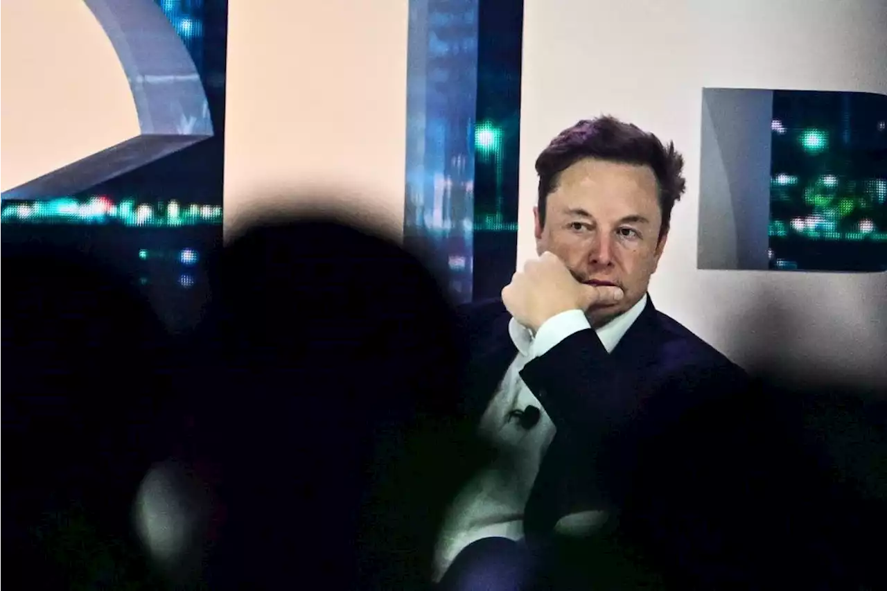 Elon Musk Stokes MAGA Unease With His DeSantis Embrace