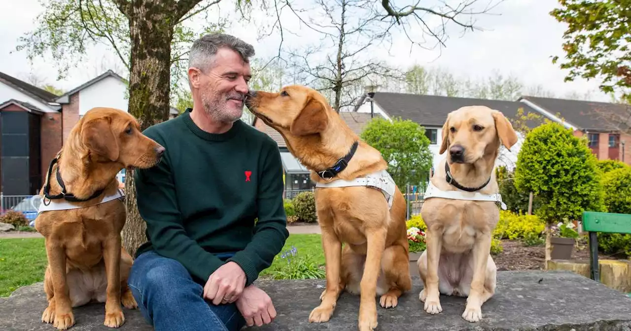 Donate | Irish Guide Dogs for the Blind | Charity