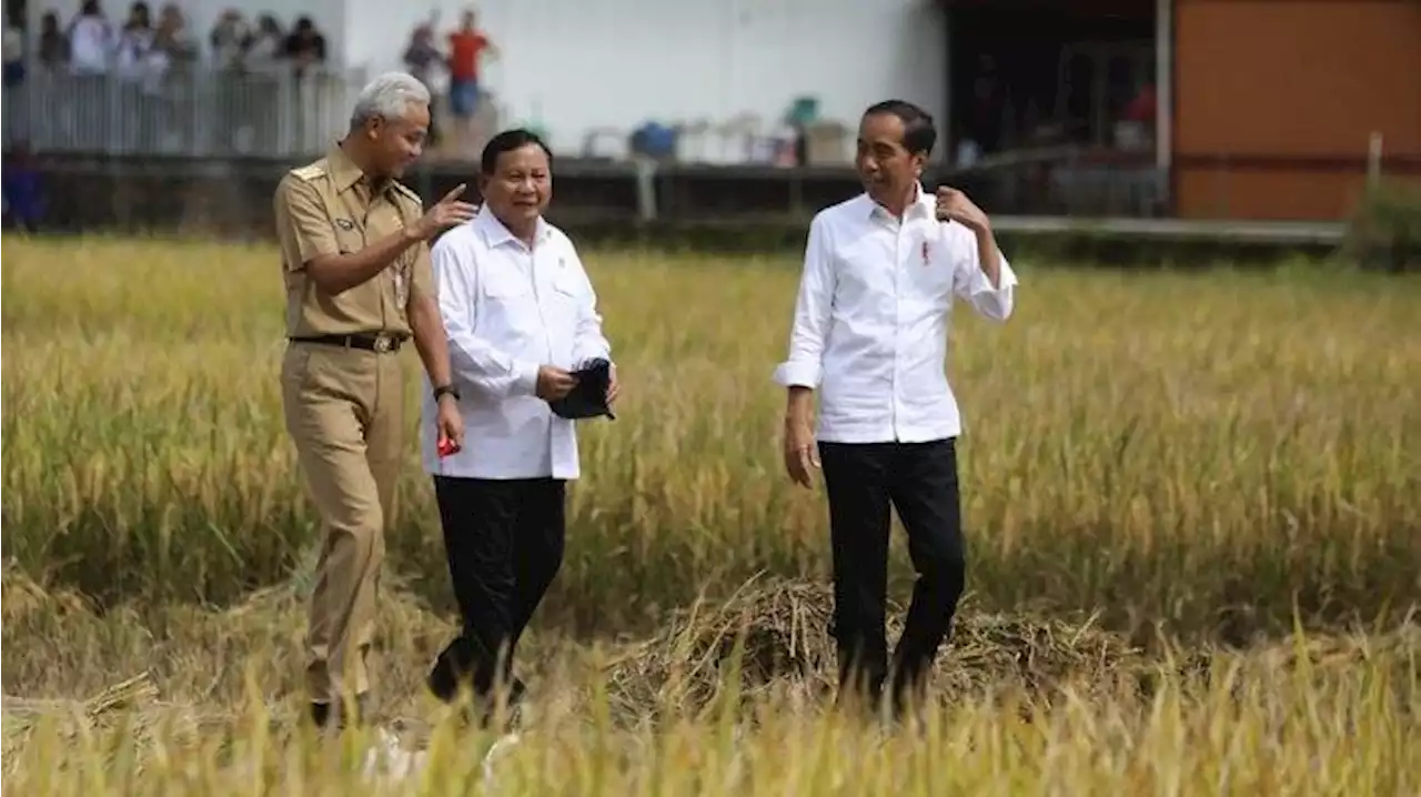 Prabowo-Ganjar Paling Ideal tapi Sulit, Projo: Jokowi Masih Upayakan, Takdir yang Menentukan - Tribunnews.com