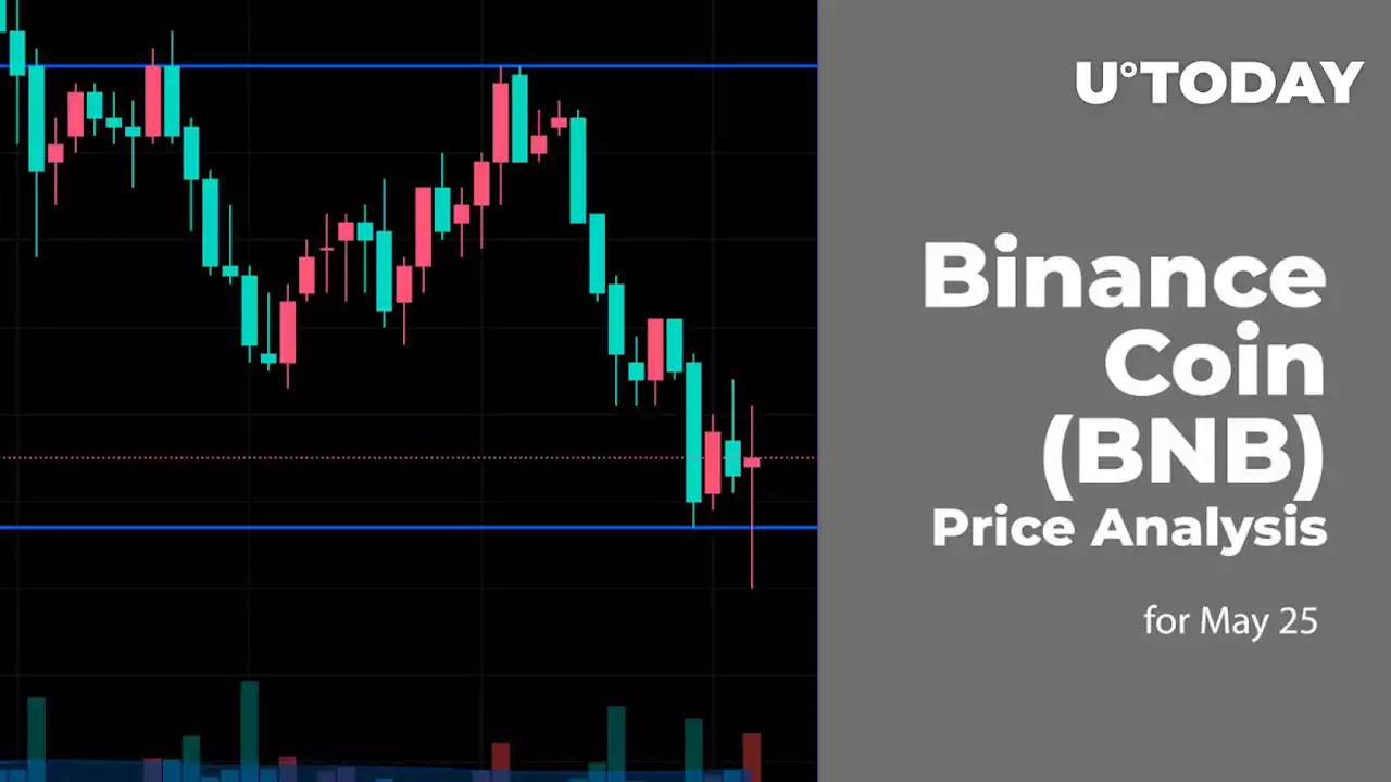 Binance Coin (BNB) Price Analysis for May 25